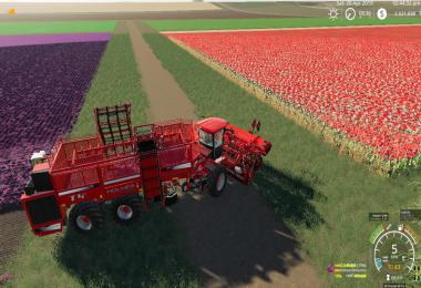 KIWI FARM STARTER MAP 4X MULTI FRUIT & Compost V3.1