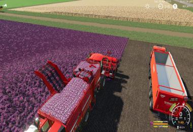 KIWI FARM STARTER MAP 4X MULTI FRUIT & Compost V3.1