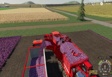 KIWI FARM STARTER MAP 4X MULTI FRUIT & Compost V3.1