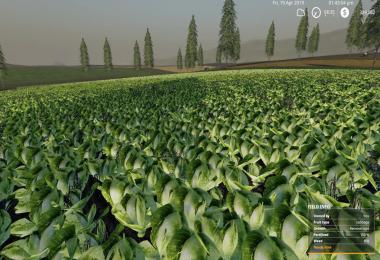 RUGGED COUNTRY 4X v2.1