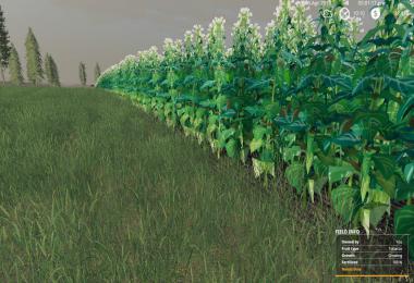 RUGGED COUNTRY 4X v2.1