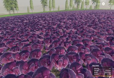 RUGGED COUNTRY 4X v2.1