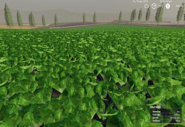 RUGGED COUNTRY 4X v2.1