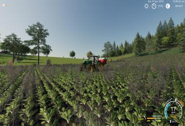 Agrivalley v1.0.0.0
