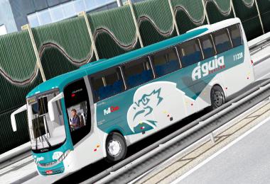 Comil Campione 3.50 Volks 1.35.x