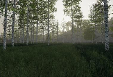 Hagenstedt Forest v1.0.0.0