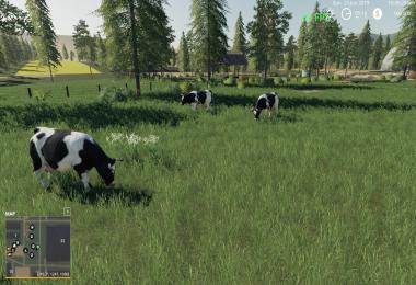 Rustic Avres v1.0.0.0