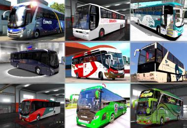 BUS PACK v1.0.0.0