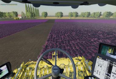 Carrots, onions and cabbage crops v1.7