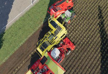 Carrots, onions and cabbage crops v1.7