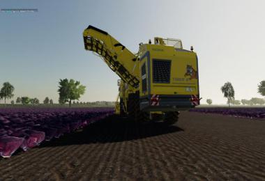 Carrots, onions and cabbage crops v1.7