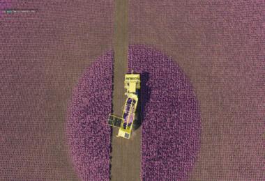 Carrots, onions and cabbage crops v1.7