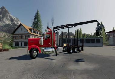 Kenworth W900 Cab Mount v1.0.0.2