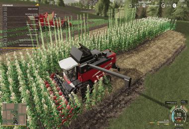 FS19 YourFarm v1.0.1