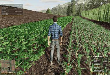 FS19 YourFarm v1.0.1