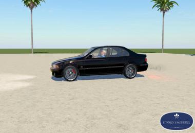 BMW 530i FS19 v1.0