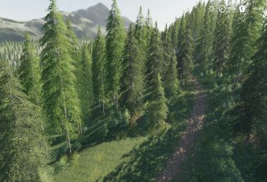 Fenton Forest 4x Small update 2 By Stevie