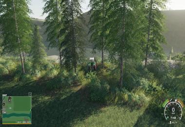 Fenton Forest 4x Small update 2 By Stevie