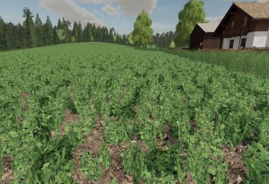 Plant rows by Albinator