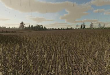 Plant rows by Albinator