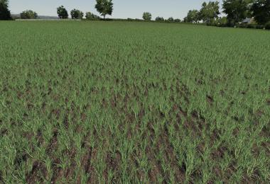 Realistic Cereal and Canola Crop Densities v1.0
