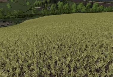 Realistic Cereal and Canola Crop Densities v1.0