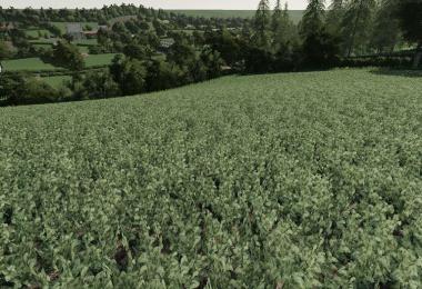 Realistic Cereal and Canola Crop Densities v1.0