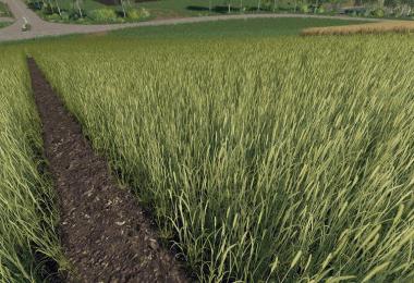 Realistic Cereal and Canola Crop Densities v1.0