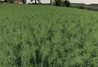 Realistic Cereal and Canola Crop Densities v1.0