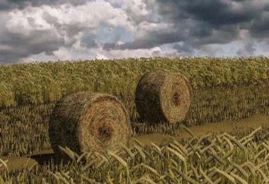 Wheat – Barley – Windrow – Bales – Animations v1.0