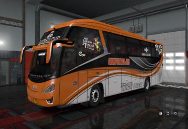 BUS Zeppelin G3 1.35