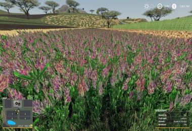 Nevada-ZA Release v001