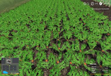 Nevada-ZA Release v001