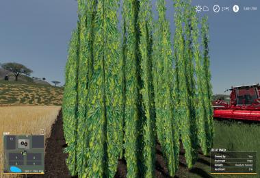 Nevada-ZA Release v001