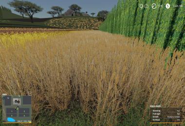 Nevada-ZA Release v001