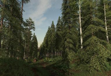 New Woodshire edit v2.0