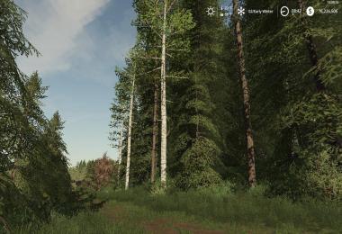 New Woodshire edit v2.0