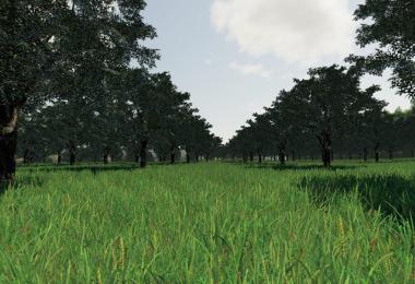 Seasons GEO: Central Italy v1.0.0.0