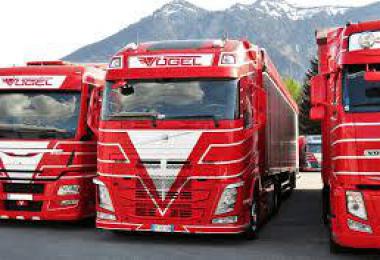 Vogel Volvo red skin 1.35