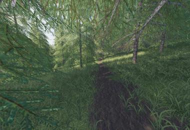 Willamina Forest v1.2.0.2