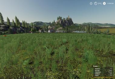 Motley grass v1.0