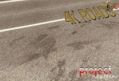 Project Next-Gen Graphic Mod v1.8.1 by DamianSVW 1.35.x