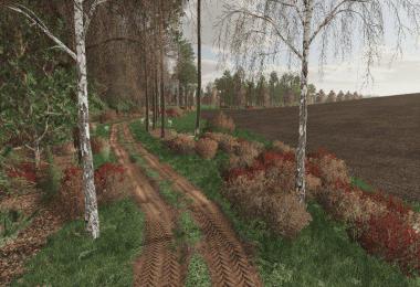 FS19 Goliszew v3.1