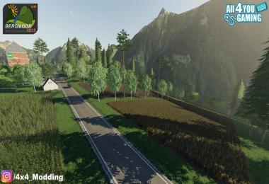 Bergmoor2K15 mixed lot for LS19 v1.0
