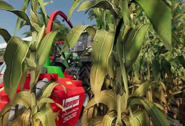 Kemper Champion 3000 v1.0.0.0