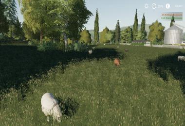 Lakeland Vale 27/01/2020 by Stevie