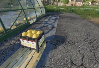 MELON PRODUCTION v1.0