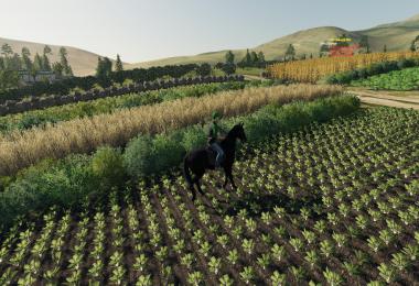 Tierras de Extremadura v3.0.0.0