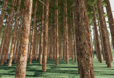 Ultimate Logging Map v1.0.0.0