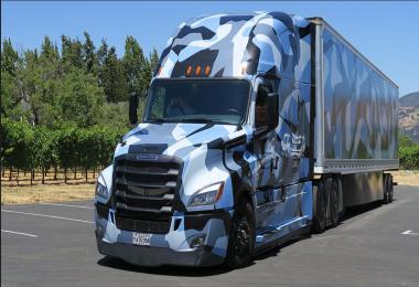 Freightliner Cascadia Combo Camouflage v1.0